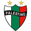 CD Palestino